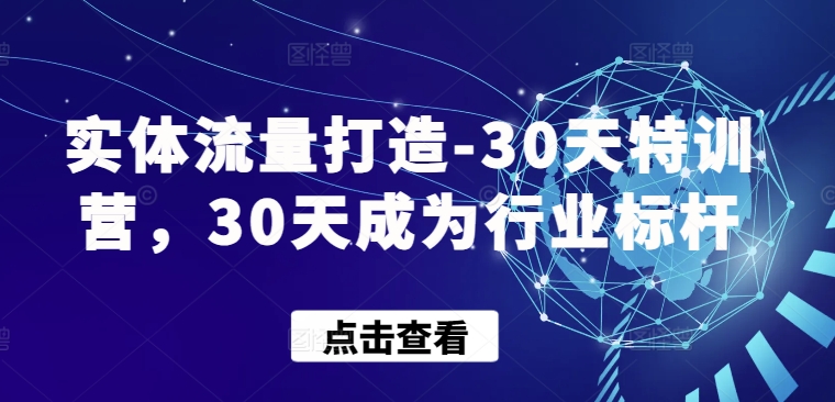 实体流量打造-30天特训营，30天成为行业标杆-727网创
