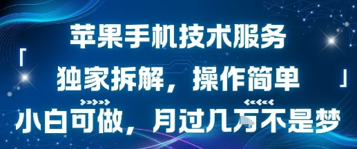 苹果手机技术服务，独家拆解，操作简单，小白可做，月过1W不是梦-727网创