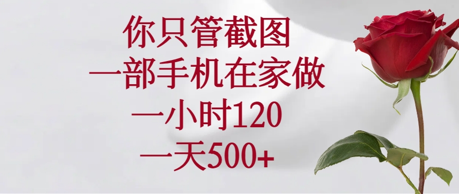 （14248期）你只管截图，一部手机在家做，一小时120，一天500+-727网创