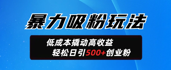 暴力吸粉玩法，日引500+精准创业粉，日变现轻松多张-727网创