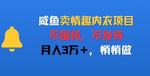 咸鱼卖情趣内衣项目，不囤货，不发货，月入3W+，悄悄做-727网创