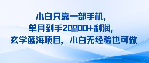 小白只靠一部手机，单月到手2W+利润，玄学蓝海项目，小白无经验也可做-727网创