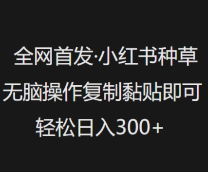 全网首发，小红书种草无脑操作，复制黏贴即可，轻松日入3张-727网创