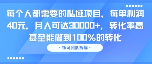 每个人都需要的私域项目，每单利润40米，月入可达3W+，转化率高 甚至能做到100%的转化-727网创