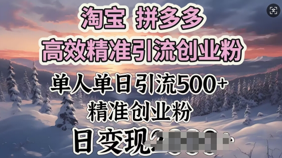 淘宝拼多多高效精准引流创业粉，单人单日引流500+创业粉，日变现多张-727网创