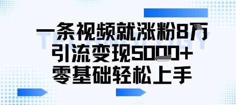 一条视频就涨粉8W引流变现5k+，0基础项目轻松上手-727网创