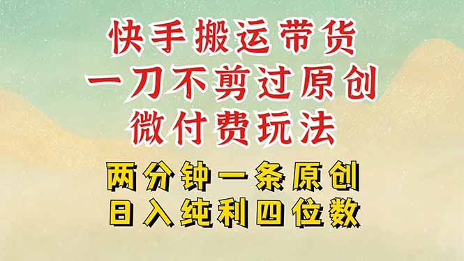 （15577期）快手黑科技搬运带货，一刀不剪过原创，微付费投流玩法，轻松日入四位数…-727网创