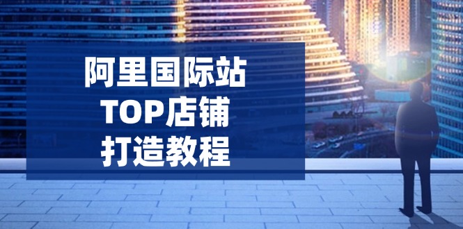 （14269期）阿里国际站TOP店铺打造教程：涵盖平台到高阶，解决运营难题，提升询盘-727网创