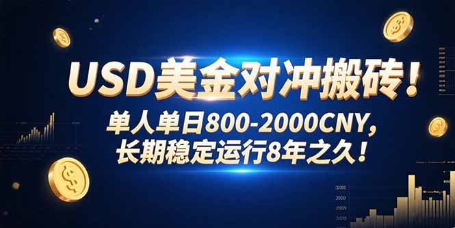 （15551期）USD美金对冲搬砖!单人单日800-2000CNY，长期稳定运行8年之久!-727网创