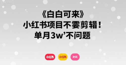 小白可来 小红书项目不需要剪辑 单月3w不是问题-727网创