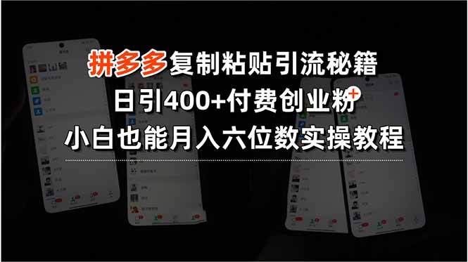 （15613期）拼多多复制粘贴引流秘籍，日引400+付费创业粉，小白也能月入六位数实操…-727网创