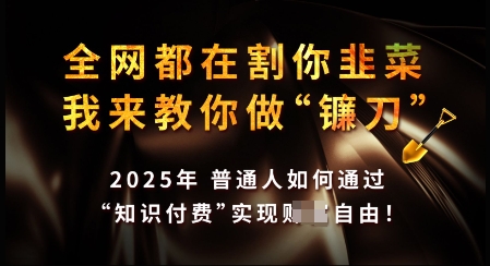 知识付费如何做到月入过W+，2025我来教你做“镰刀”【揭秘】-727网创