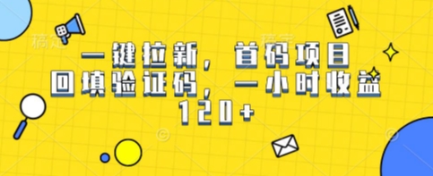 一键拉新，首码项目，回填验证码，一小时收益1张-727网创