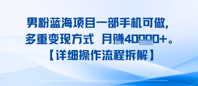 8月新男粉蓝海项目一部手机可做，多重变现方式 月入4W+【详细操作流程拆解】-727网创