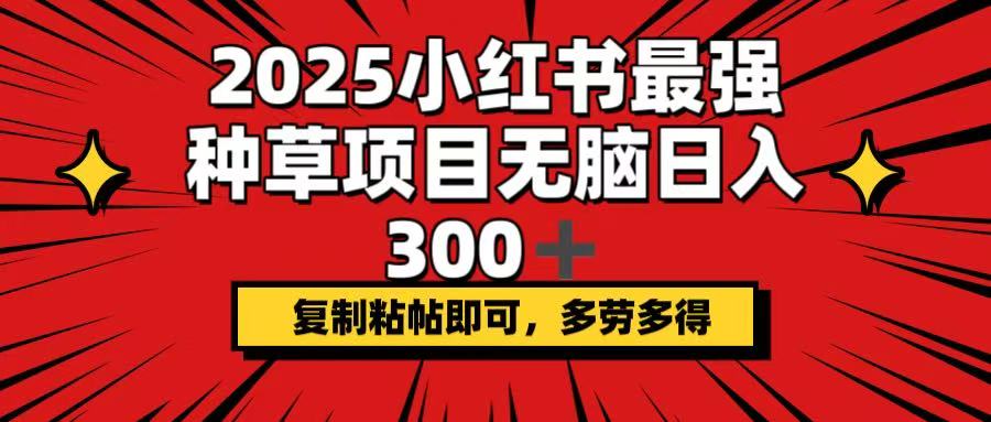 （14375期）2025小红书最强种草项目，无脑日入300+，复制粘帖即可，多劳多得-727网创