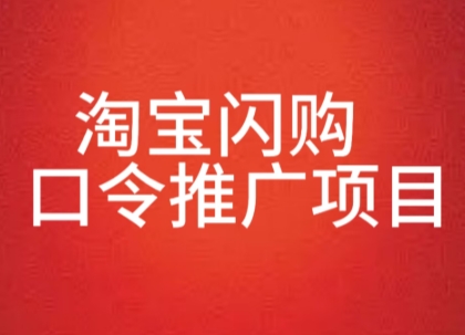 淘宝闪购口令推广项目，收益可观，一部手机，一个抖音号即可操作-727网创