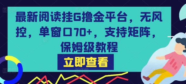 最新阅读挂G撸金平台，无风控，单窗口70+，支持矩阵，保姆级教程【揭秘】-727网创