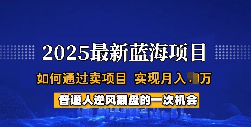 2025蓝海项目，普通人如何通过卖项目，实现月入过W，全过程【揭秘】-727网创