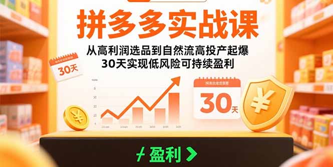 （15586期）拼多多实战课：从高利润选品到自然流高投产起爆 30天实现低风险可持续盈利-727网创