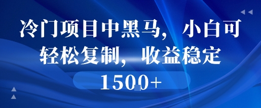 冷门项目中黑马，小白可轻松复制，收益稳定1.5k-727网创
