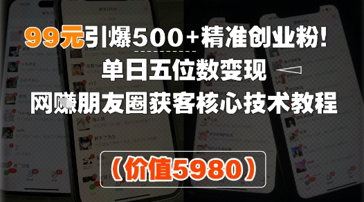 99元引爆500+精准创业粉！单日五位数变现，网创朋友圈获客核心技术教程-727网创