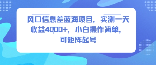 风口信息差蓝海项目，实测一天收益4k+，小白操作简单，可矩阵起号-727网创