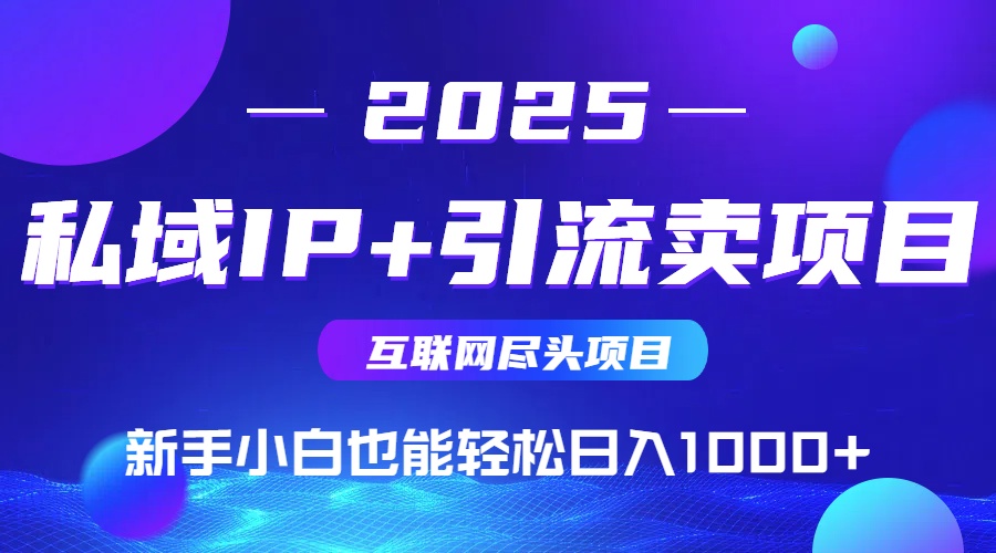 （15531期）2025网创尽头项目，私域IP+引流，新手小白也能在家日入1000+-727网创