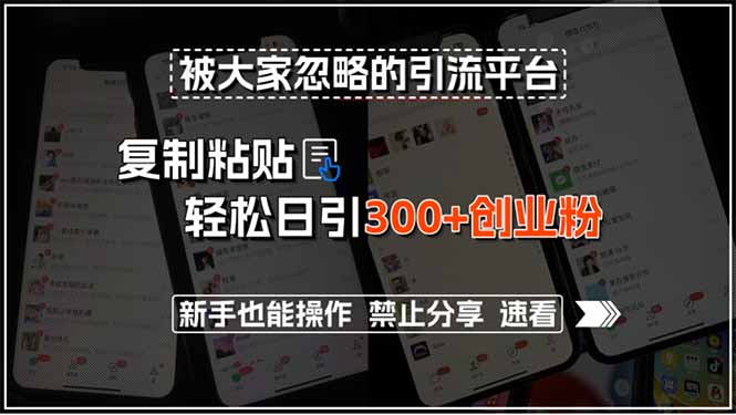 （15428期）被大家忽略的引流平台，复制粘贴轻松日引300+创业粉，新手也能操作，禁…-727网创