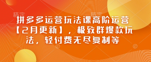 拼多多运营玩法课高阶运营【2月更新】，极致群爆款玩法，轻付费无尽复制等-727网创