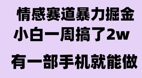 情感暴力掘金项目，新人操作一周挣了2W，长期稳定小白可做【揭秘】-727网创