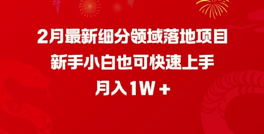 2月最新细分领域落地项目，新手小白也可快速上手，月入1W-727网创