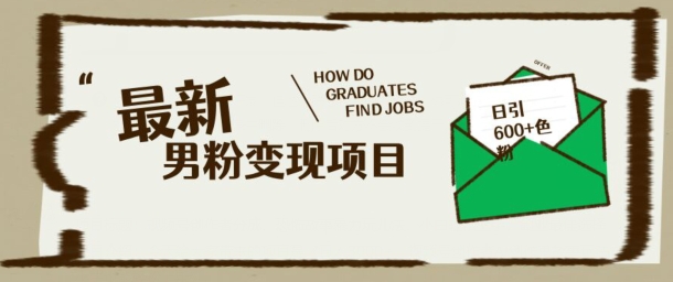 最新男粉变现项目，日引100+S粉，流量爆炸，小白轻松上手-727网创