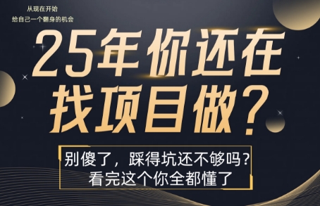 25年，你还在疯狂的找项目吗？别傻了，看完这个你都懂了【揭秘】-727网创