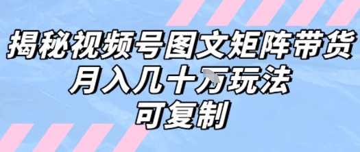 解密视频号图文矩阵带货，月入几个W的打法，可复制-727网创
