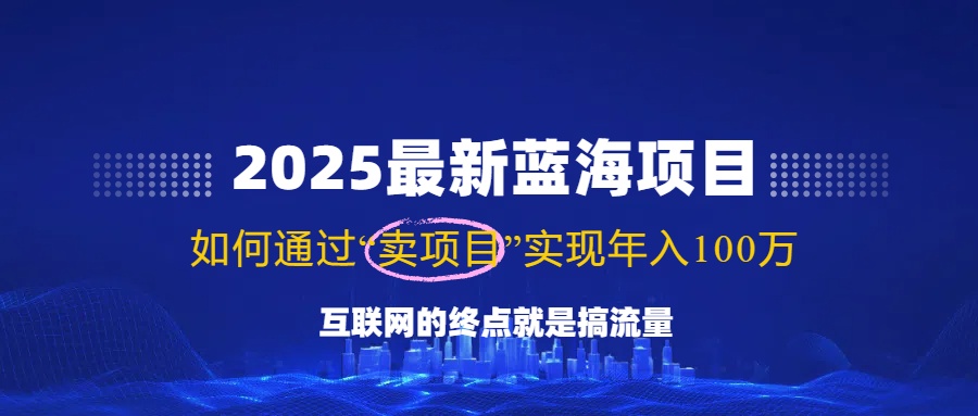 （14305期）2025最新蓝海项目，零门槛轻松复制，月入10万+，新手也能操作！-727网创