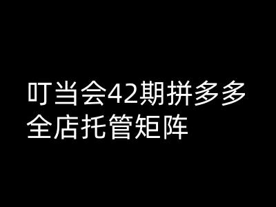叮当会拼多多打爆班原创高阶技术第42期，拼多多全店托管矩阵-727网创